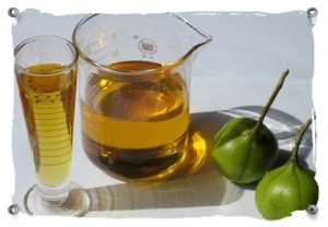 Holzöl / Tungoil Holzöl / Tungoil
