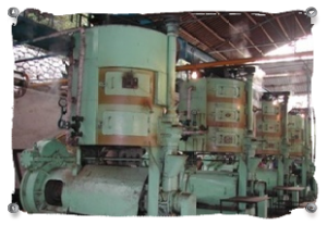 Holzölpresse / Tungoilpress Holzölpresse / Tungoilpress